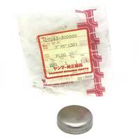 Yanmar Plug 27243-300000