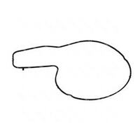 Volvo Penta Water Pump Gasket 21103569