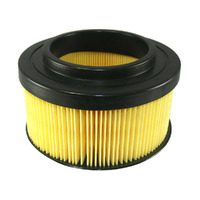 Volvo Penta Air Filter 21646645